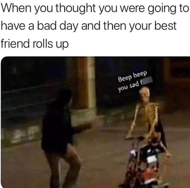 When you thought you were going to have a bad day and then your best friend rolls up Beep beep you sad fuck