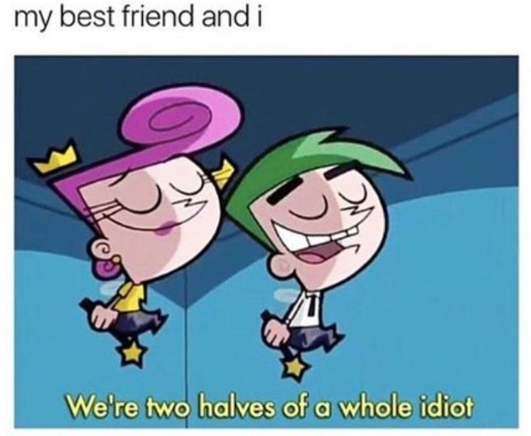 my best friend and i We're two halves of a whole idiot