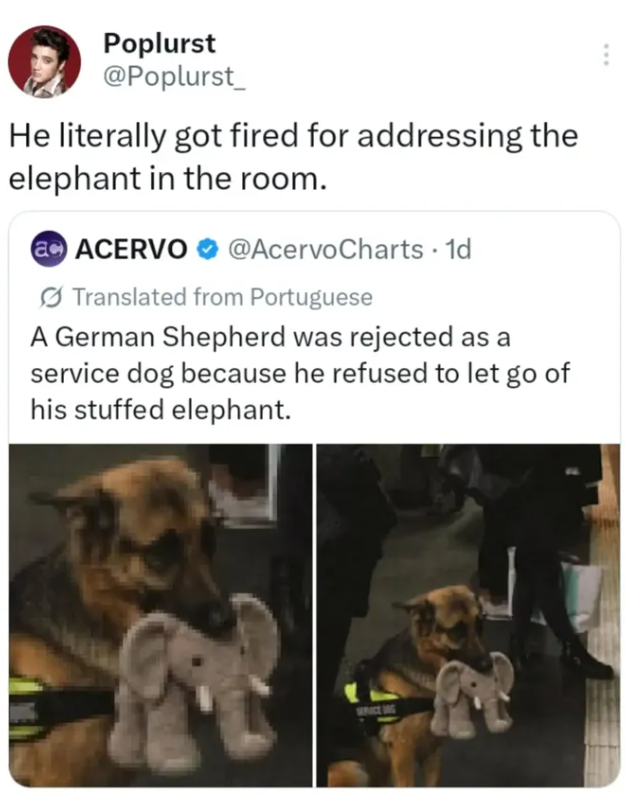 Poplurst @Poplurst_ He literally got fired for addressing the elephant in the room. ac ACERVO @AcervoCharts. 1d Translated from Portuguese A German Shepherd was rejected as a service dog because he refused to let go of his stuffed elephant. SERICE G