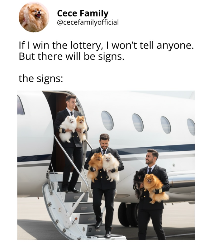 Cece Family @cecefamilyofficial If I win the lottery, I won't tell anyone. But there will be signs. the signs: