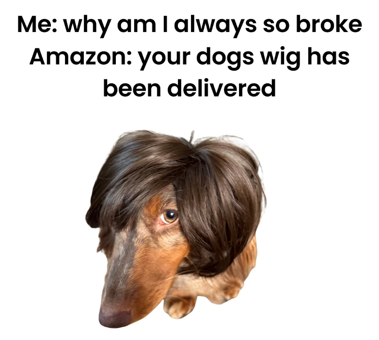 Me: why am I always so broke Amazon: your dogs wig has been delivered