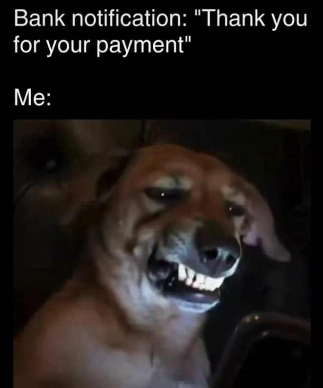 Bank notification: "Thank you for your payment" Me: