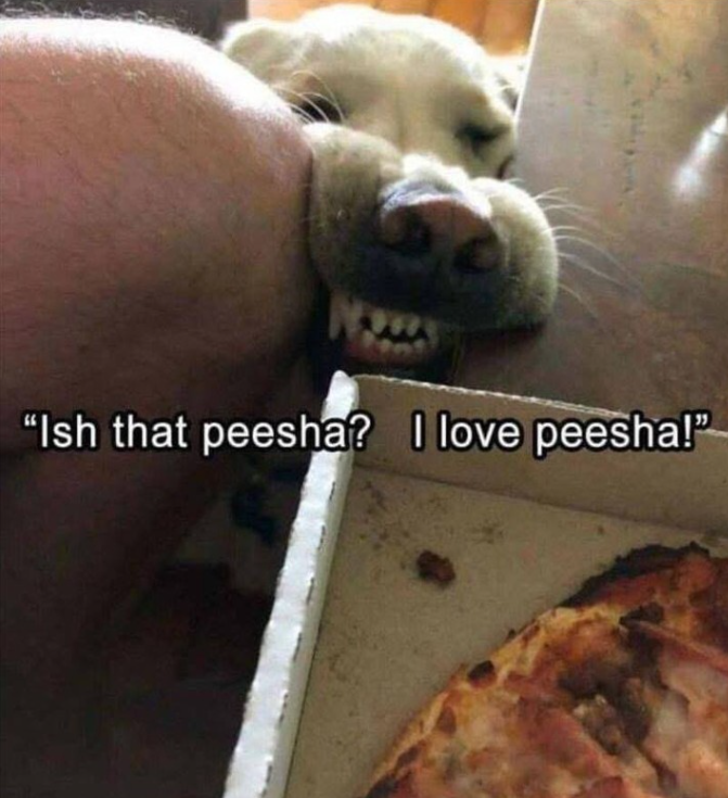 "Ish that peesha? I love peesha!"