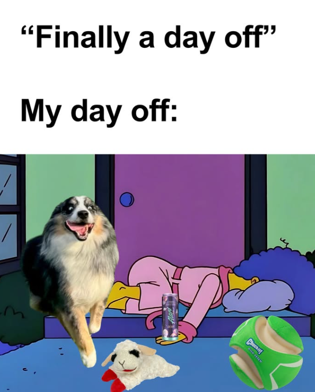 "Finally a day off" My day off: / m Chuckity KICH SETCH
