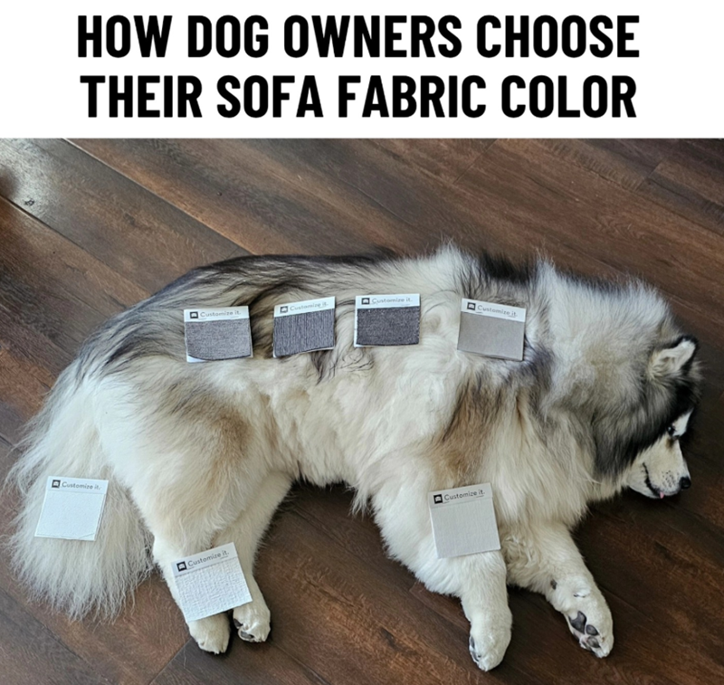 Customize it. HOW DOG OWNERS CHOOSE THEIR SOFA FABRIC COLOR Customize it. Customize it. ㄖˋ Customize it. Customize it Customize it. Customize it.