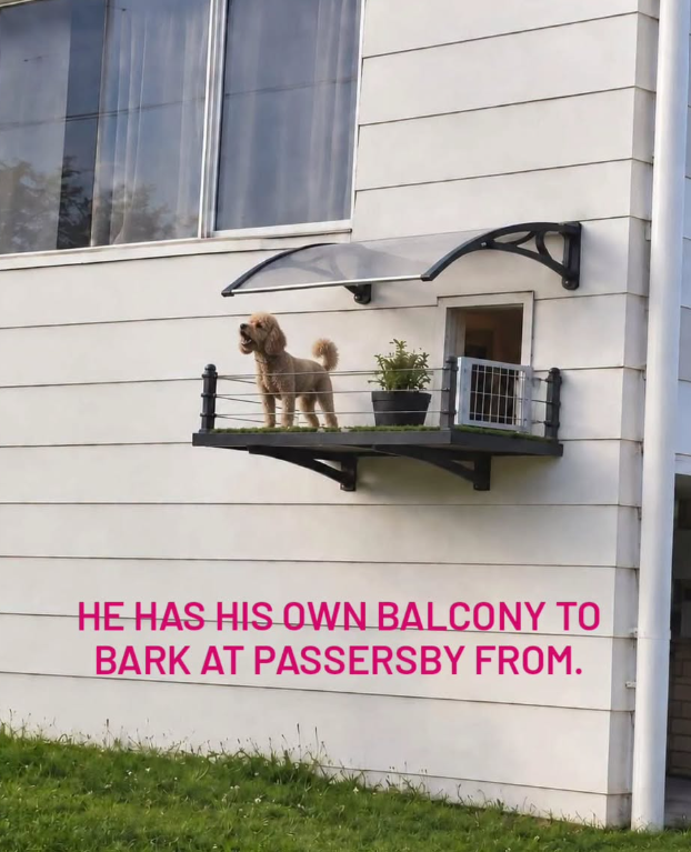 HE HAS HIS OWN BALCONY TO BARK AT PASSERSBY FROM.