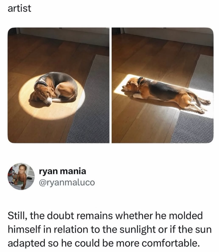 artist ryan mania @ryanmaluco Still, the doubt remains whether he molded himself in relation to the sunlight or if the sun adapted so he could be more comfortable.