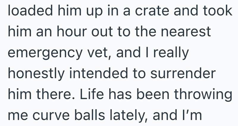 loaded him up in a crate and took him an hour out to the nearest emergency vet, and I really honestly intended to surrender him there. Life has been throwing me curve balls lately, and I'm