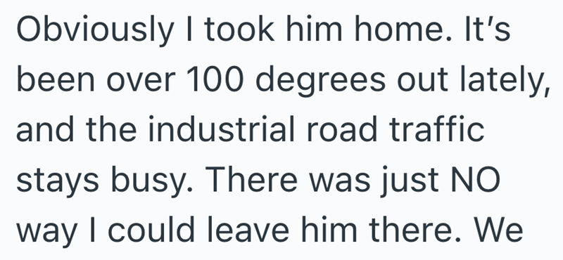 Obviously I took him home. It's been over 100 degrees out lately, and the industrial road traffic stays busy. There was just NO way I could leave him there. We