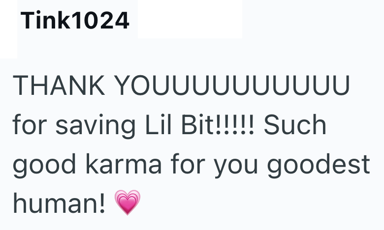 Tink1024 THANK YOUบบบบบบบบบ for saving Lil Bit!!!!! Such good karma for you goodest human!