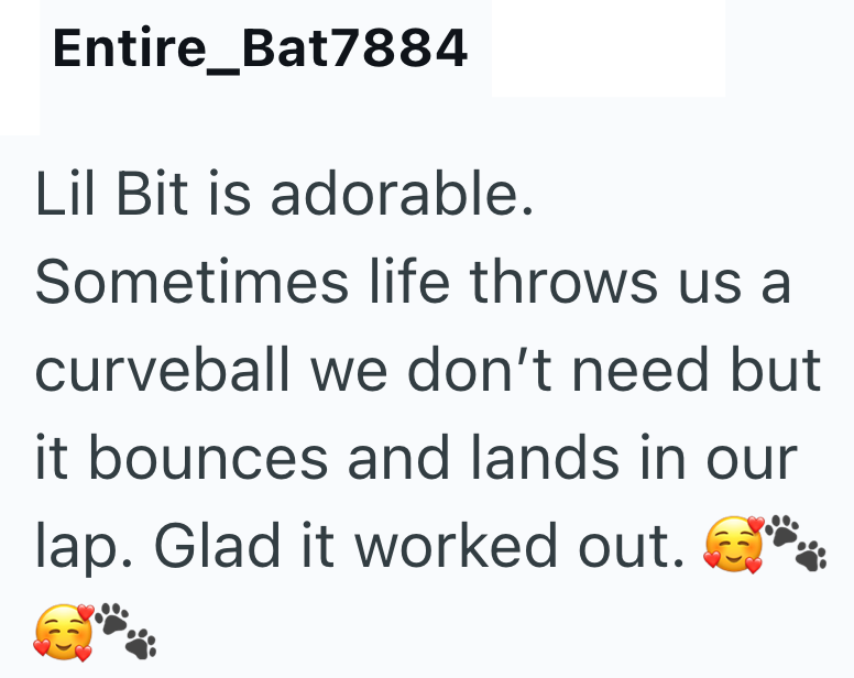 Entire_Bat7884 Lil Bit is adorable. Sometimes life throws us a curveball we don't need but it bounces and lands in our lap. Glad it worked out.