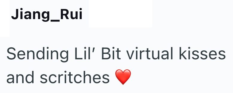 Jiang_Rui Sending Lil' Bit virtual kisses and scritches