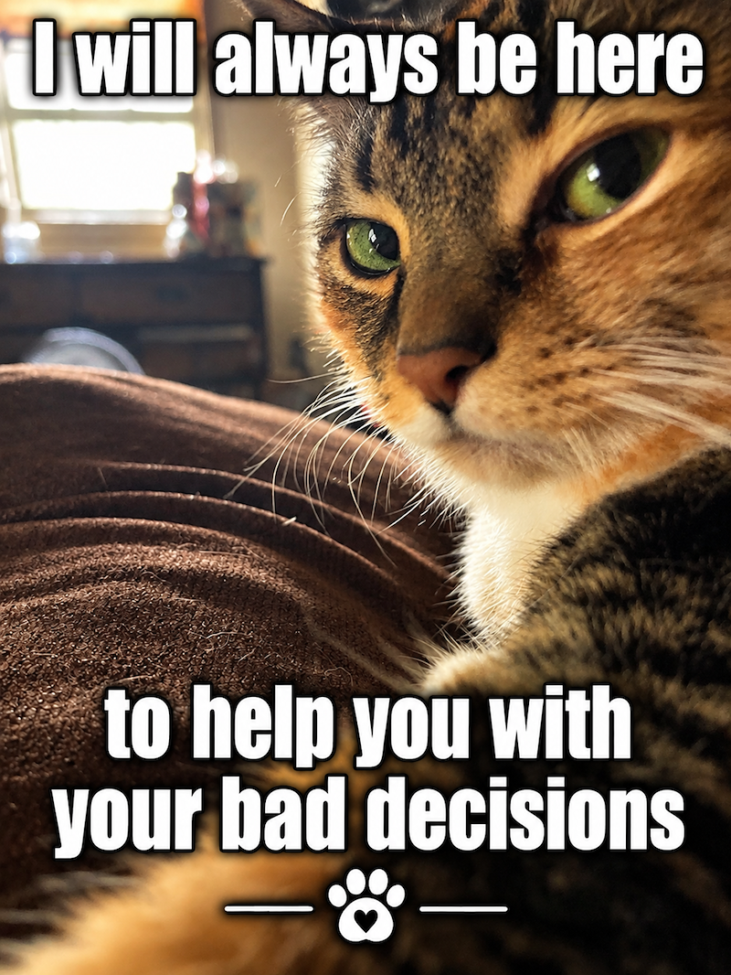 Owill always be here to help you with your bad decisions g
