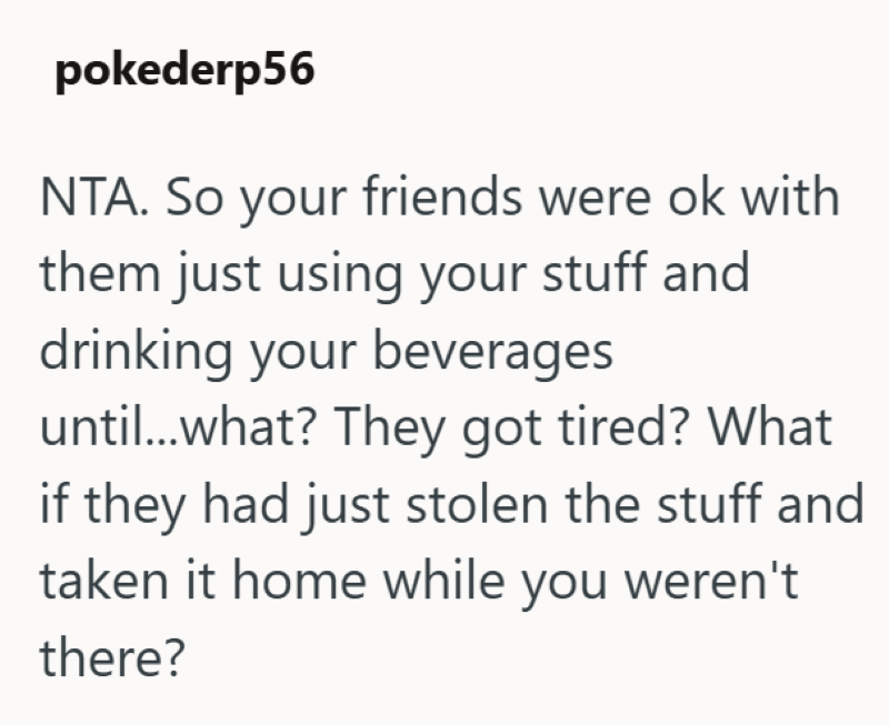 pokederp56 NTA. So your friends were ok with them just using your stuff and drinking your beverages until...what? They got tired? What if they had just stolen the stuff and taken it home while you weren't there?