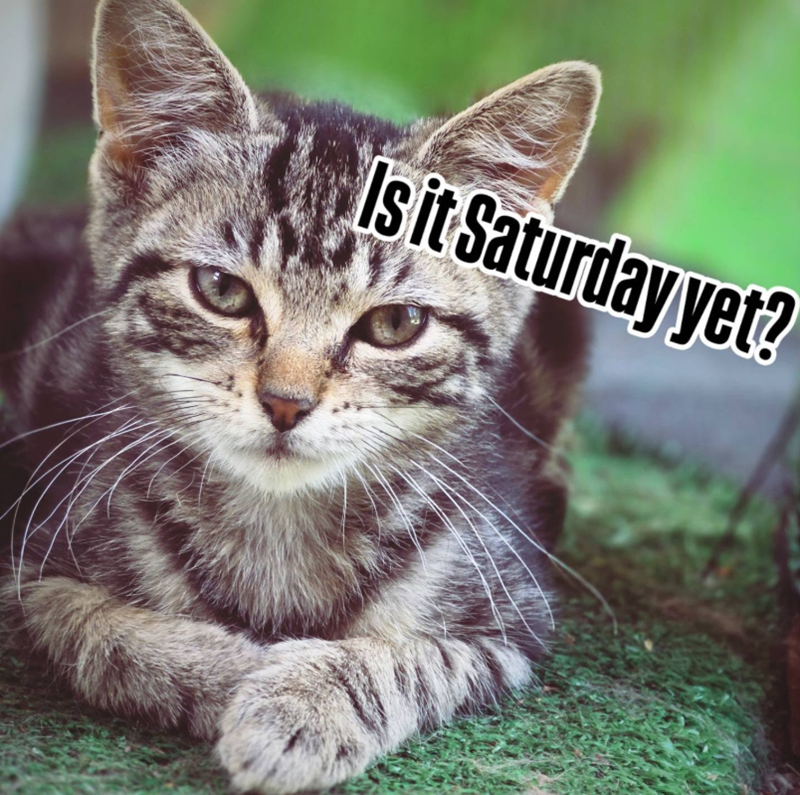 Is it Saturday yet?