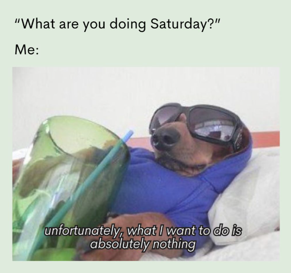 "What are you doing Saturday?" Me: unfortunately, what I want to do is absolutely nothing