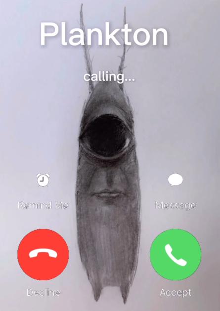 Plankton calling... Remind Me Message Decline Accept