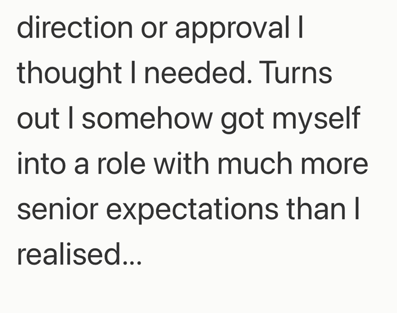 direction or approval I thought I needed. Turns out I somehow got myself into a role with much more senior expectations than I realised...