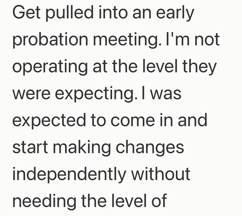 Get pulled into an early probation meeting. I'm not operating at the level they were expecting. I was expected to come in and start making changes independently without needing the level of