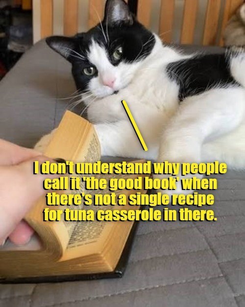 I don't understand why people call it 'the good book when there's not a single recipe for tuna casserole in there.