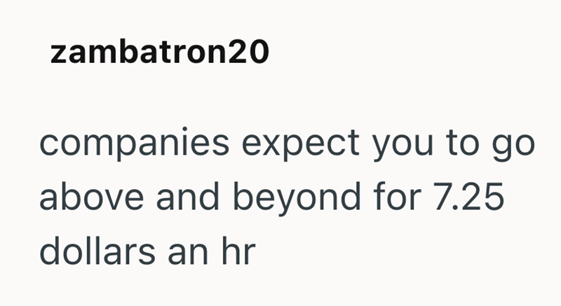 zambatron20 companies expect you to go above and beyond for 7.25 dollars an hr