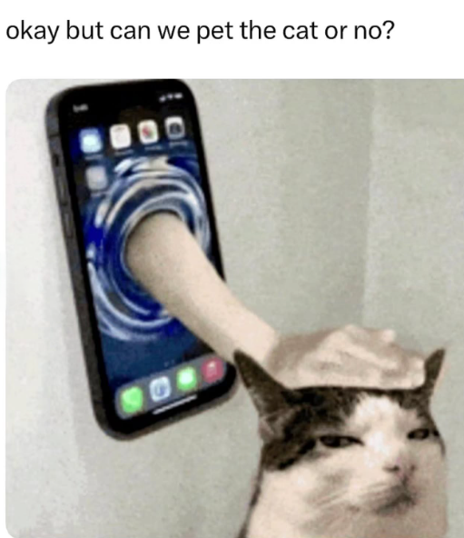 okay but can we pet the cat or no?