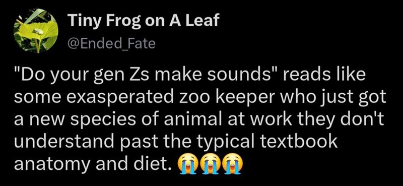 Tiny Frog on A Leaf @Ended_Fate "Do your gen Zs make sounds" reads like some exasperated zoo keeper who just got a new species of animal at work they don't understand past the typical textbook anatomy and diet.