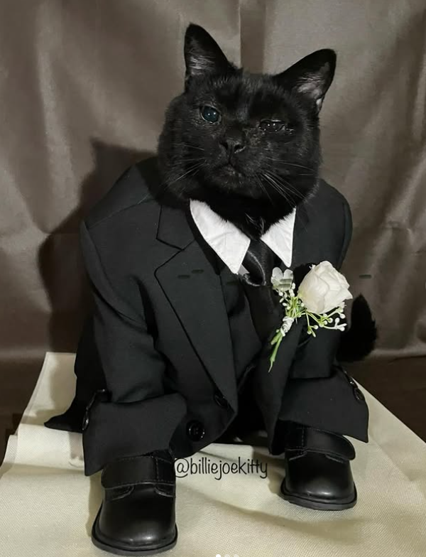 @billiejoekitty