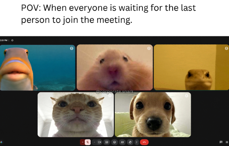 2:31 PM POV: When everyone is waiting for the last person to join the meeting. @corporate.snark