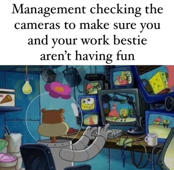 Management checking the cameras to make sure you and your work bestie aren't having fun GNARLYOODLES