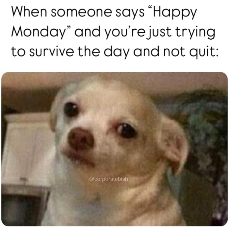 When someone says "Happy Monday" and you're just trying to survive the day and not quit: @corporatebish