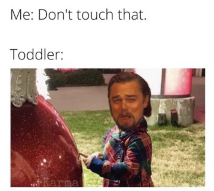 Me: Don't touch that. Toddler: Karma
