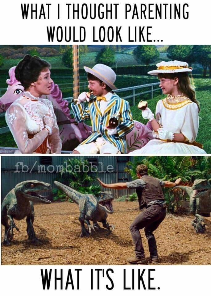WHAT I THOUGHT PARENTING WOULD LOOK LIKE... fb/mombabble WHAT IT'S LIKE.