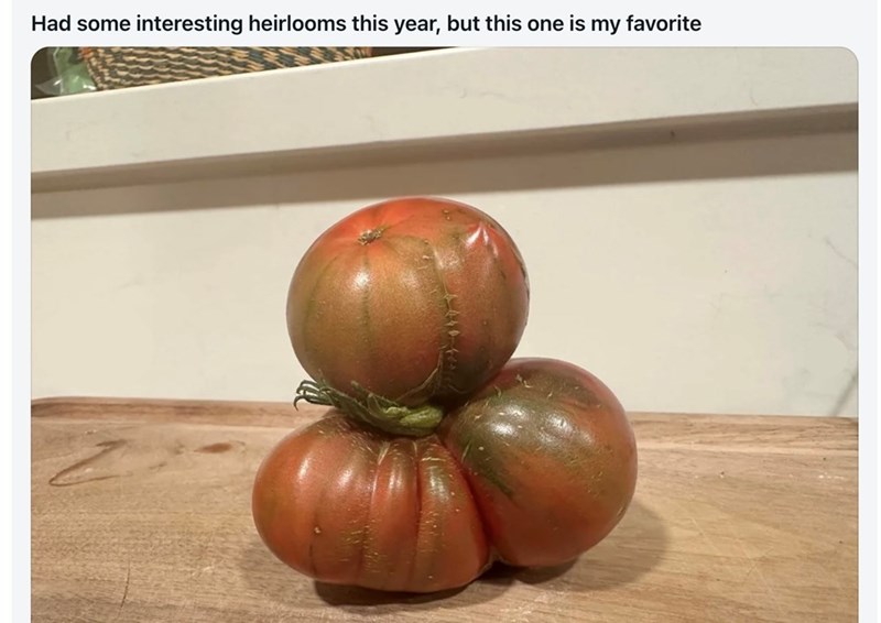 Had some interesting heirlooms this year, but this one is my favorite