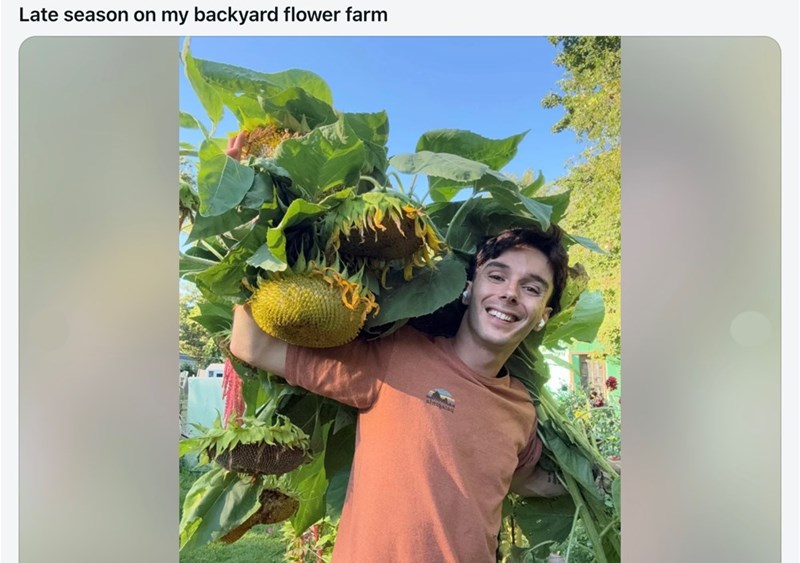 Late season on my backyard flower farm A