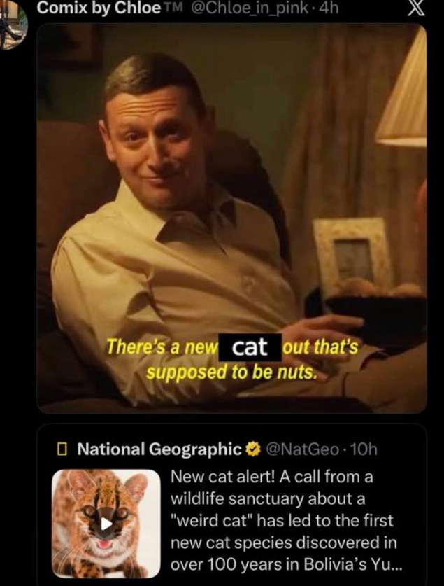 Comix by ChloeTM @Chloe_in_pink. 4h There's a new cat out that's supposed to be nuts. ☐ National Geographic @NatGeo 10h New cat alert! A call from a wildlife sanctuary about a "weird cat" has led to the first new cat species discovered in over 100 years in Bolivia's Yu...