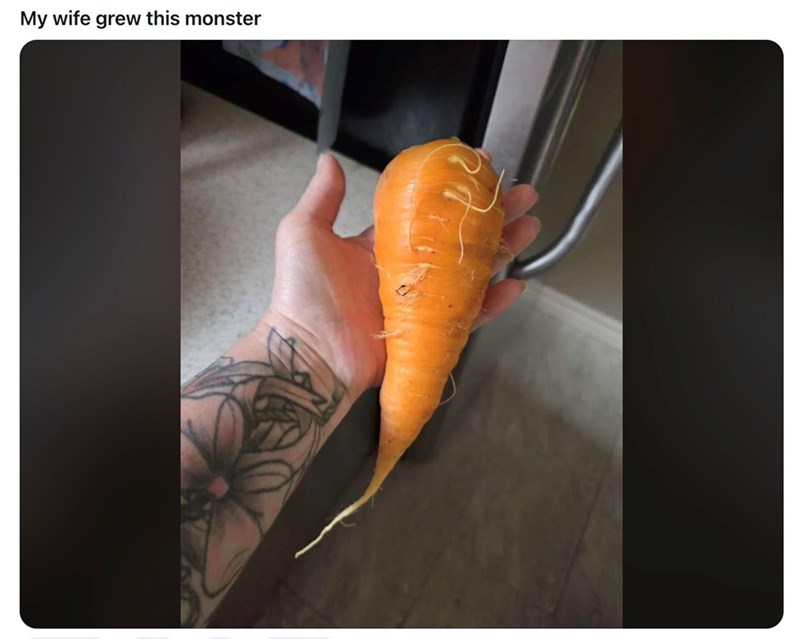 My wife grew this monster