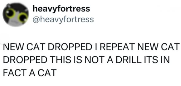 heavyfortress @heavyfortress NEW CAT DROPPED I REPEAT NEW CAT DROPPED THIS IS NOT A DRILL ITS IN FACT A CAT