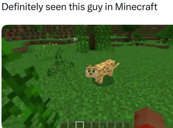 Definitely seen this guy in Minecraft