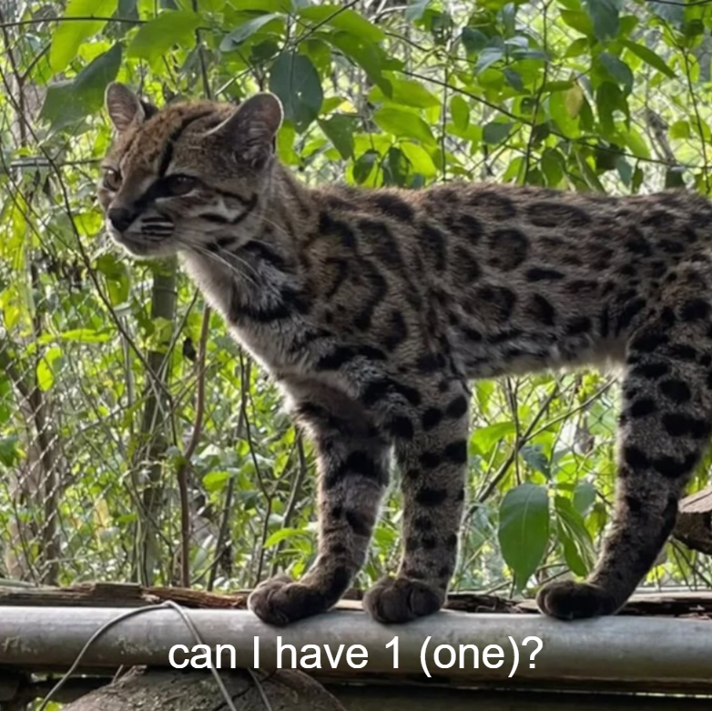 can I have 1 (one)?