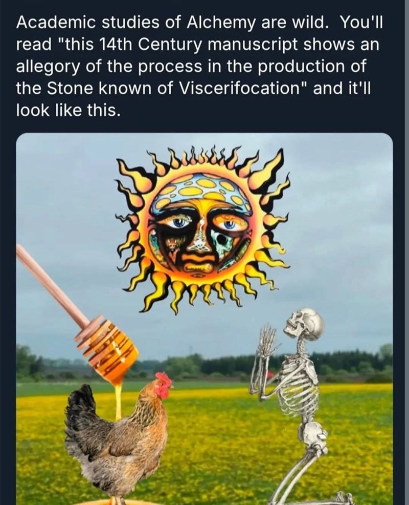 Academic studies of Alchemy are wild. You'll read "this 14th Century manuscript shows an allegory of the process in the production of the Stone known of Viscerifocation" and it'll look like this.