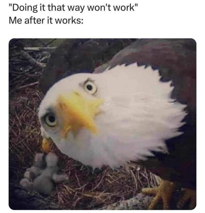 "Doing it that way won't work" Me after it works: