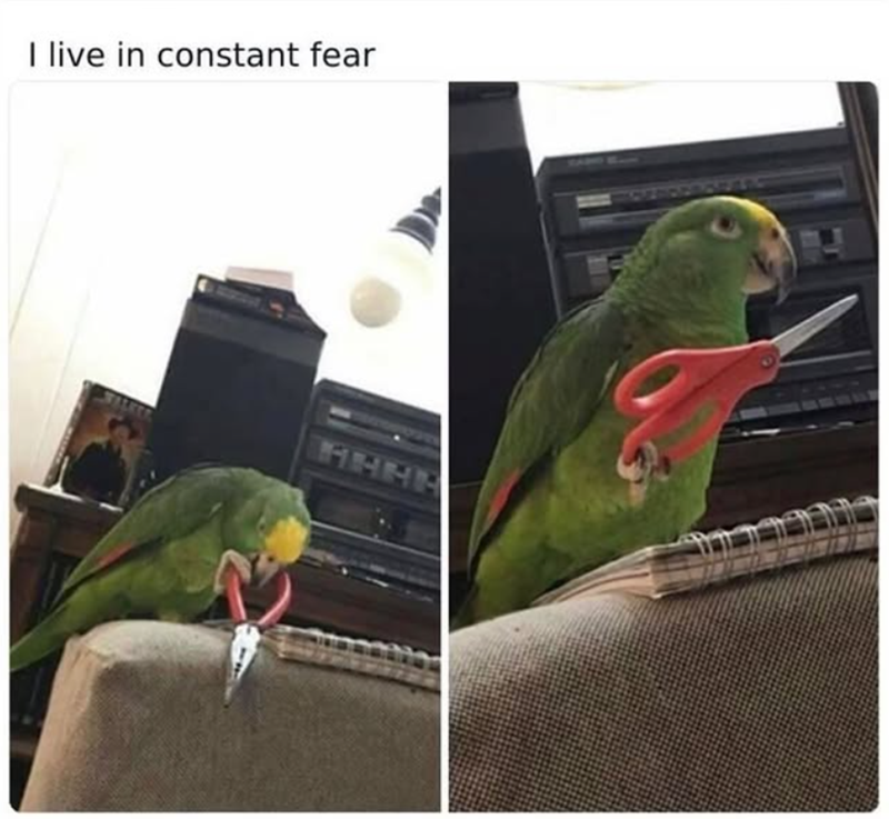 I live in constant fear HAHA WALKER F