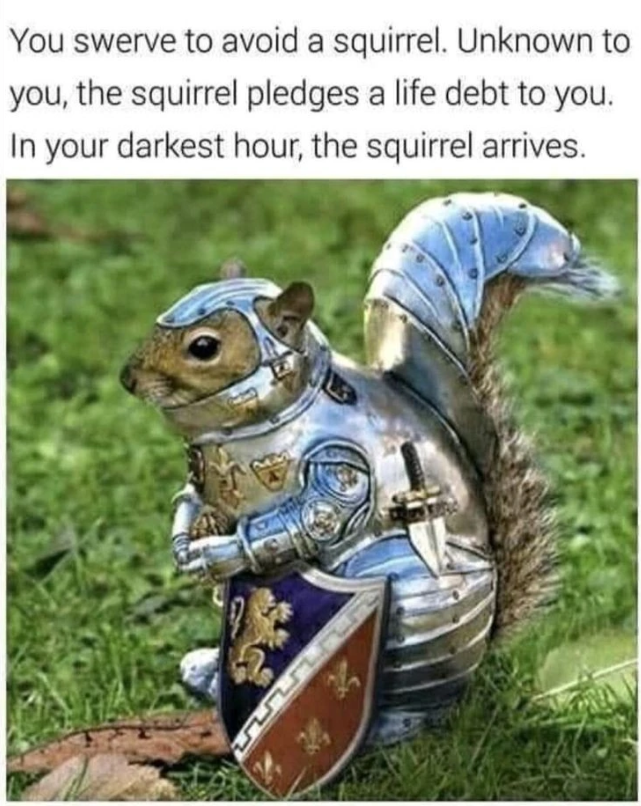 You swerve to avoid a squirrel. Unknown to you, the squirrel pledges a life debt to you. In your darkest hour, the squirrel arrives. 2