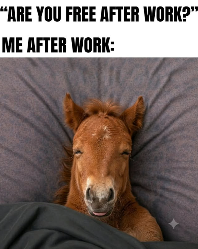 "ARE YOU FREE AFTER WORK?" ME AFTER WORK: