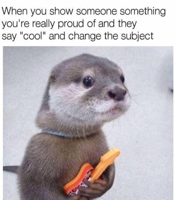 When you show someone something you're really proud of and they say "cool" and change the subject