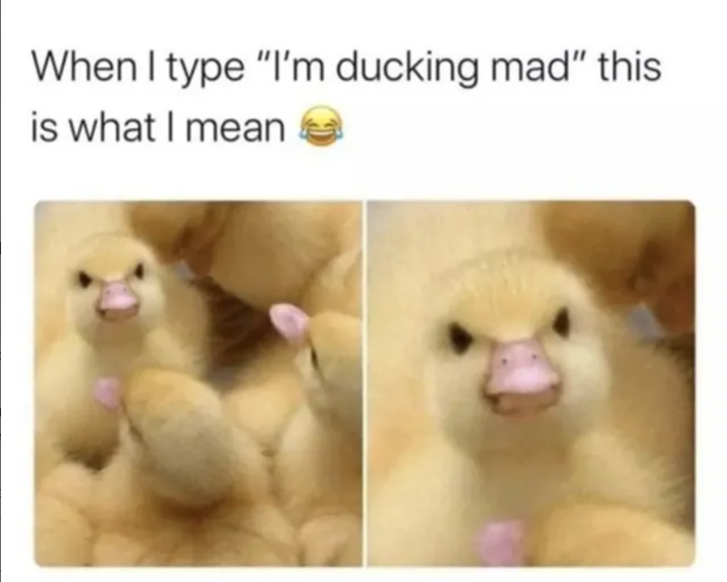 When I type "I'm ducking mad" this is what I mean