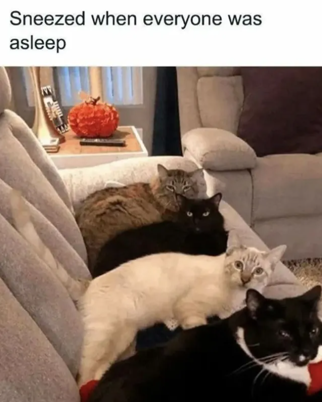 Sneezed when everyone was asleep