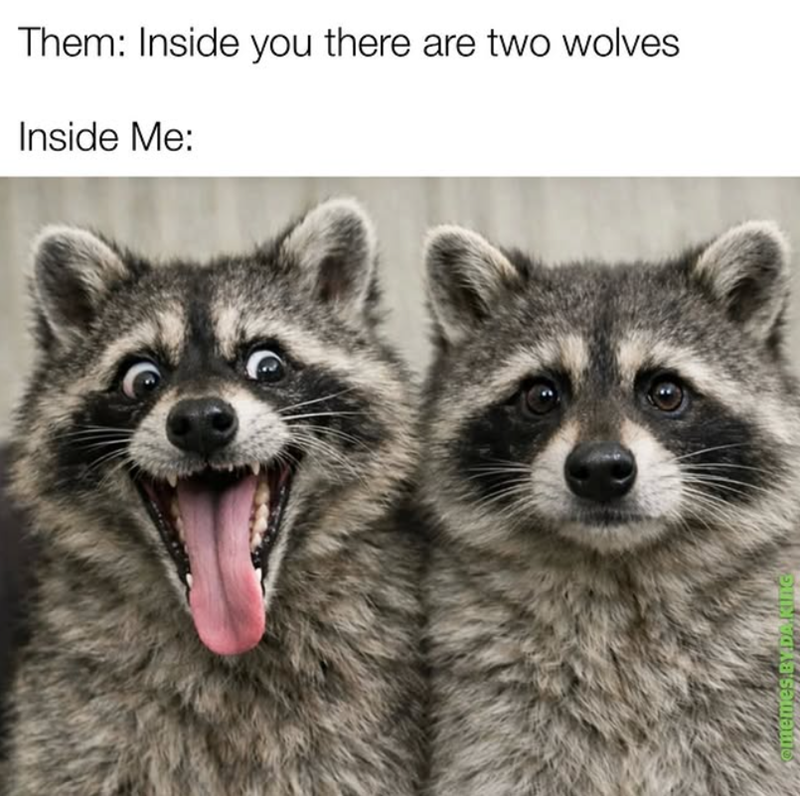 Them: Inside you there are two wolves Inside Me: memes.BY.DAKING