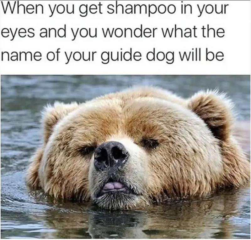When you get shampoo in your eyes and you wonder what the name of your guide dog will be